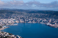 Wellington Shore Excursion: City Sightseeing Tour