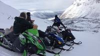 Snowmobile Safari and Reindeer Herding in the Mountains in Tromso