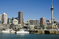 Déjeuner-Croisière dans le Port d'Auckland