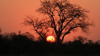 Kruger National Park Sunset Safari