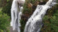 Panorama Highlights Guided Day Tour