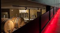 Amarone Wine Tour and Tasting of 9 Wines in a Modern Winery