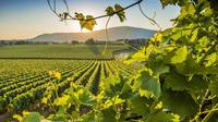 Sparkling Franciacorta Wine Tour with Lunch and Wineries Visit