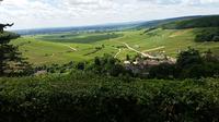 Private Tour: Burgundy Wines Full Day Tour from Beaune