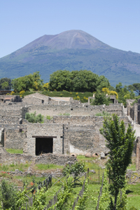 Excursion D'une demi-journée à Naples et Pompéi au départ de Sorrente