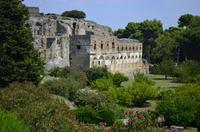 Private Tour: Pompeii Half-Day Trip from Naples