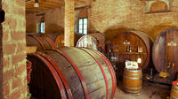 Wine Tour and Tasting at Le Marche's Oldest Wine Estate