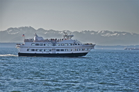 Croisière dans le Port de Seattle