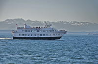 Seattle Harbor Cruise