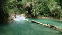 Private Tour: Kuangsi Waterfall from Luang Prabang