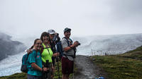 Guided Harding Icefield Trail Hike
