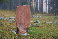 Excursion d'Une journée sur l'histoire viking et à Uppsala au départ de Stockholm