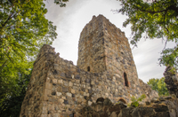 Excursion en bord de mer à Stockholm: visite d'Une demi-journée à la découverte de l'histoire viking au départ de Stockholm