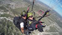 Tandem Paragliding in Mendoza image 1 Tandem Paragliding in Mendoza image 1