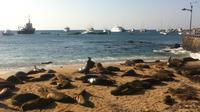 6-Day Galapagos PADI Diving Course