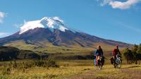 Cotopaxi Hiking and Biking Day Tour from Quito