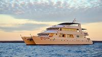 Galapagos Last-Minute Tourist or Superior Class Cruises