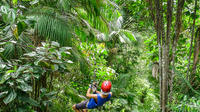 Private Mindo Zip Lining, Chocolate Tasting and Equator Museum Tour