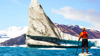 Bear Glacier Paddleboarding with Icebergs and Jetboat Access