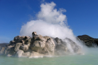 Excursion au bord de mer à Reykjavik: Spa du Lagon bleu transports de with aller-retour