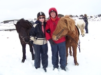Tour d'équitation et au viking lagon bleu au départ de Reykjavik