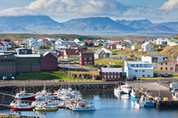 Tour de Snaefellsjokull, le glacier et le parc national au départ de Reykjavik