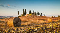 Private Chianti Tuscany Wine Tasting Tour from Florence