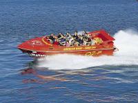 Sydney Shore Excursion: Sydney Harbour Jet Boat Thrill Ride: 30 Minutes
