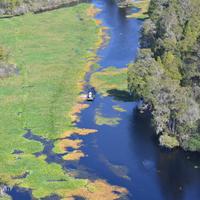 Busch Gardens and Alafia River Wildlife Helicopter Tour