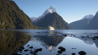 Full-Day Milford Sound Discovery Day Trip from Queenstown