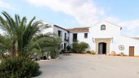 Malaga Shore Excursion: Private Olive Oil Tour