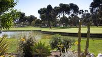Shore Excursion: Golf Day in Malaga 