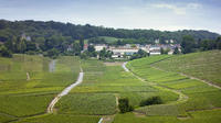 Champagne Region Private Day Trip from Paris