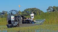 One Hour Airboat Tour