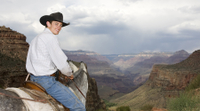 Exclusivo de Viator: excursión nocturna por el borde sur del Gran Cañón con paseo en mula desde Phoenix Exclusivo de Viator: excursión nocturna por el borde sur del Gran Cañón con paseo en mula desde Phoenix