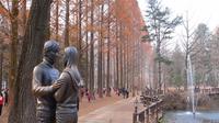 Full Day Nami Island and Garden of Morning Calm Tour from Seoul