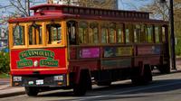 Vancouver Trolley Hop-on Hop-Off Tour Capilano Suspension Bridge and Grouse Mountain