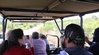 Ultimative ganztägige Pilanesberg-Nationalpark-Safari Ultimative ganztägige Pilanesberg-Nationalpark-Safari