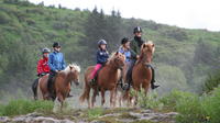 Horseback Riding Tour from Reykjavik