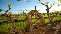 Kaesler Vineyard Old Vine Tour image 1 Kaesler Vineyard Old Vine Tour image 1