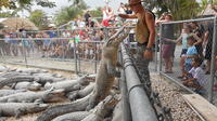 Florida Everglades Airboat Ride and Reptile Show