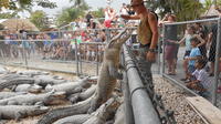 Florida Everglades Airboat Rides Alligator Shows and Snake Shows