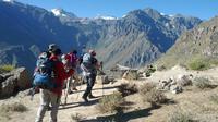 2-Day Colca Canyon Trek with Optional Hiking Experience