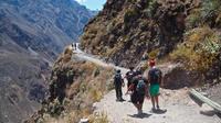 3-Day Backpacker Colca Canyon Trek from Arequipa