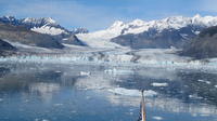 Columbia Glacier Cruise from Valdez