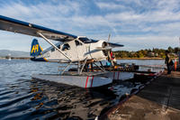 Vol en hydravion JUSQU'A Victoria et croisière d'observation des baleines