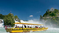 Rhine Falls Half-Day Trip from Basel with Hotel Pick and Drop Off 