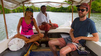 Small-Group Koggala Lake Safari