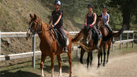 Horse Riding in Tuscany for Experienced and Unexperienced Riders: Half-day Ride