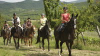 Horse Riding in Tuscany for Experienced Riders: Full-day Trail Ride